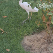 фото из отзыва ID 2691018