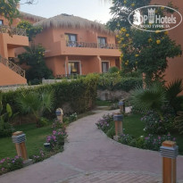 фото из отзыва ID 2691018