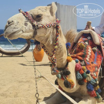 фото из отзыва ID 2691018