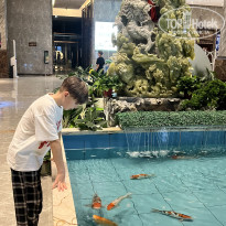 фото из отзыва ID 2691023