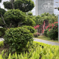 фото из отзыва ID 2691023