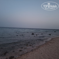 фото из отзыва ID 2691060