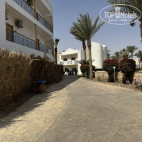 фото из отзыва ID 2691064