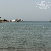 фото из отзыва ID 2691064