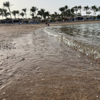 фото из отзыва ID 2691064