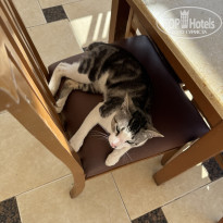 фото из отзыва ID 2691064