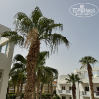 фото из отзыва ID 2691064