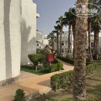 фото из отзыва ID 2691064