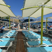 фото из отзыва ID 2691070