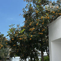 фото из отзыва ID 2691070