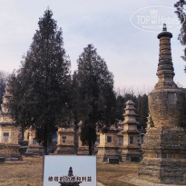 фото из отзыва ID 2691055