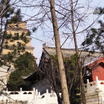 фото из отзыва ID 2691055