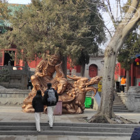 фото из отзыва ID 2691055