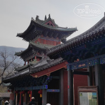 фото из отзыва ID 2691055