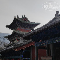 фото из отзыва ID 2691055