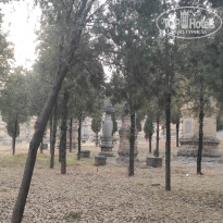 фото из отзыва ID 2691055