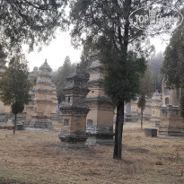 фото из отзыва ID 2691055