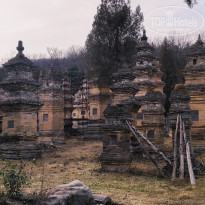 фото из отзыва ID 2691055