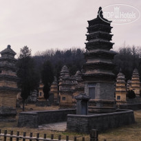 фото из отзыва ID 2691055