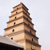 фото из отзыва ID 2691055