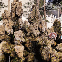 фото из отзыва ID 2691055