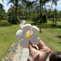 фото из отзыва ID 2691105
