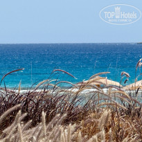 фото из отзыва ID 2691099