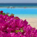 фото из отзыва ID 2691099
