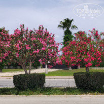 фото из отзыва ID 2691280