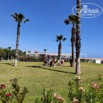 фото из отзыва ID 2691280