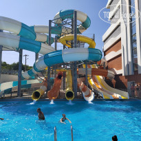 фото из отзыва ID 2691280