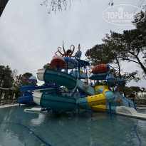 фото из отзыва ID 2691354