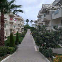 фото из отзыва ID 2691401