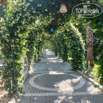 фото из отзыва ID 2691401