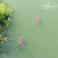 фото из отзыва ID 2691423