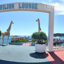 фото из отзыва ID 2691453