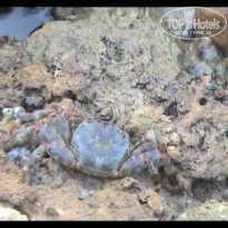 фото из отзыва ID 2690797