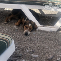 фото из отзыва ID 2691634