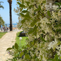 фото из отзыва ID 2691656