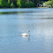 фото из отзыва ID 2690874
