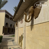 фото из отзыва ID 2691690