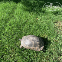 фото из отзыва ID 2691694