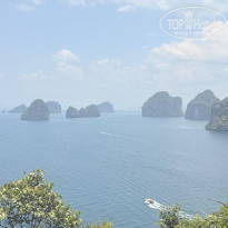 фото из отзыва ID 2691764