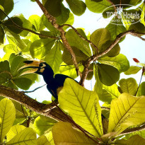 фото из отзыва ID 2691764