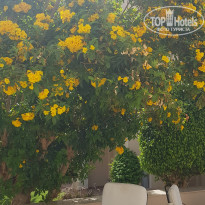 фото из отзыва ID 2691816