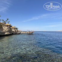 фото из отзыва ID 2691904