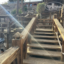 фото из отзыва ID 2691904