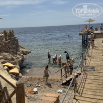 фото из отзыва ID 2691904