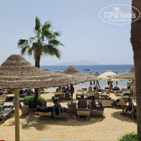 фото из отзыва ID 2691946