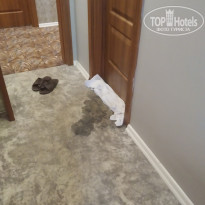 фото из отзыва ID 2691965